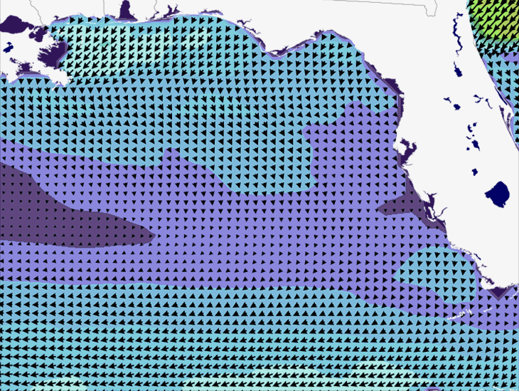 Wave Model Wind Forecast