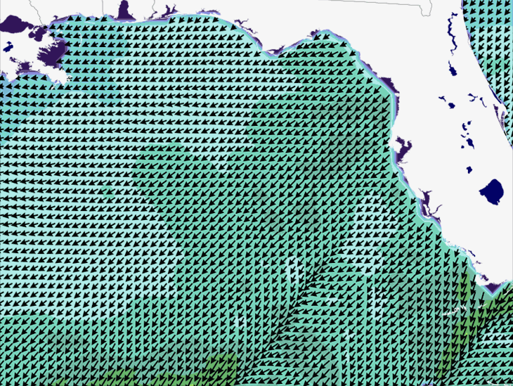 Wave Model Wind Forecast