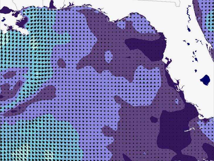 Wave Model Wind Forecast