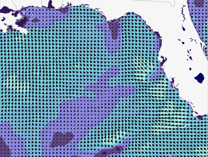 Wave Model Wind Forecast