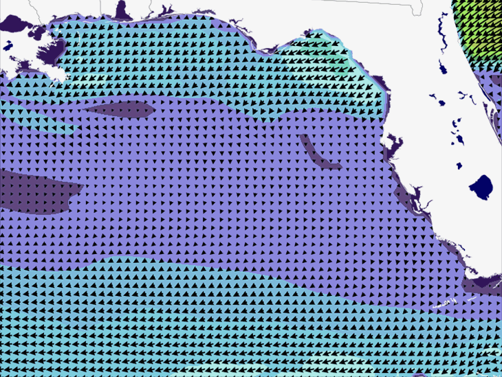 Wave Model Wind Forecast