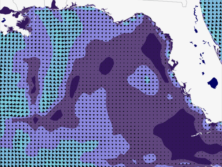 Wave Model Wind Forecast