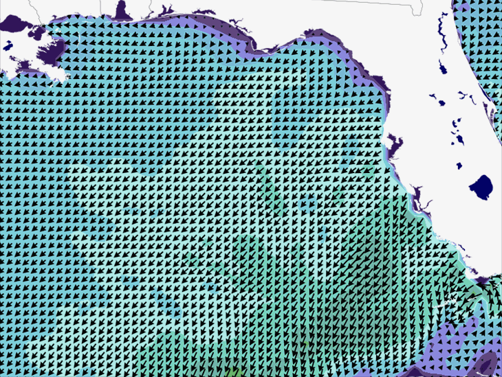 Wave Model Wind Forecast