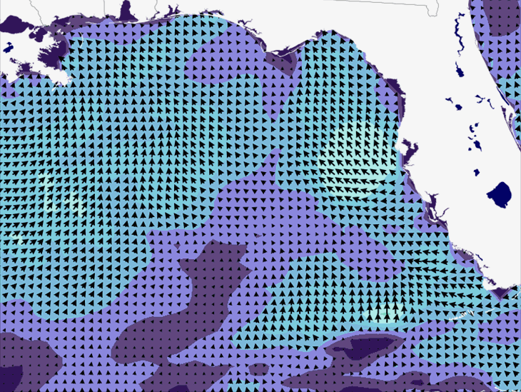 Wave Model Wind Forecast