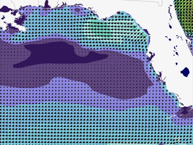 Wave Model Wind Forecast