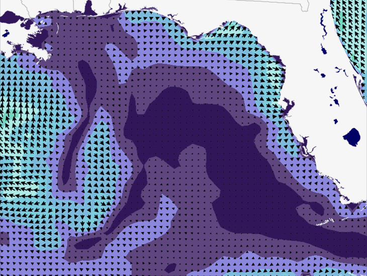 Wave Model Wind Forecast