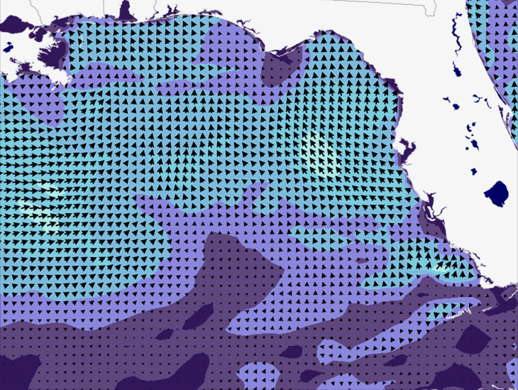 Wave Model Wind Forecast