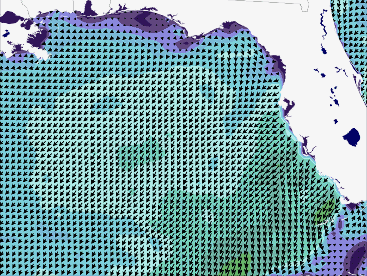 Wave Model Wind Forecast