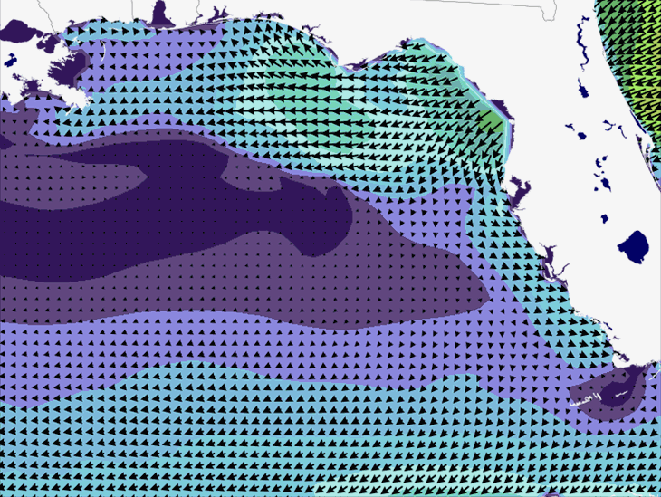Wave Model Wind Forecast