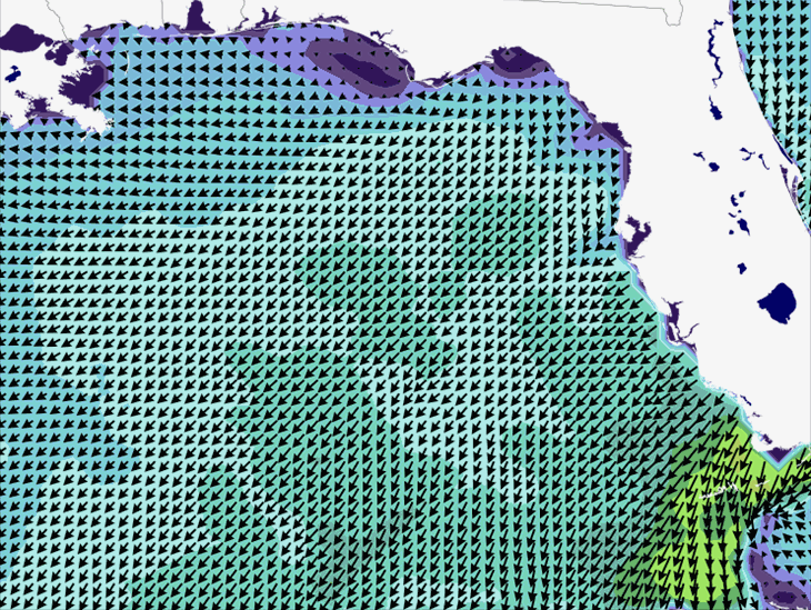 Wave Model Wind Forecast