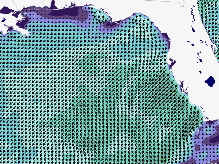 Wave Model Wind Forecast