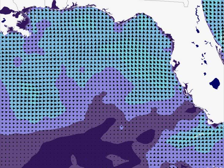 Wave Model Wind Forecast