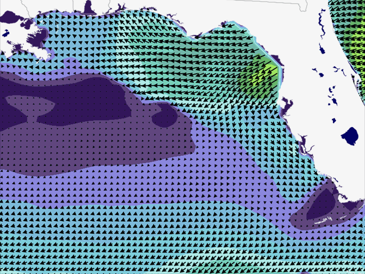 Wave Model Wind Forecast