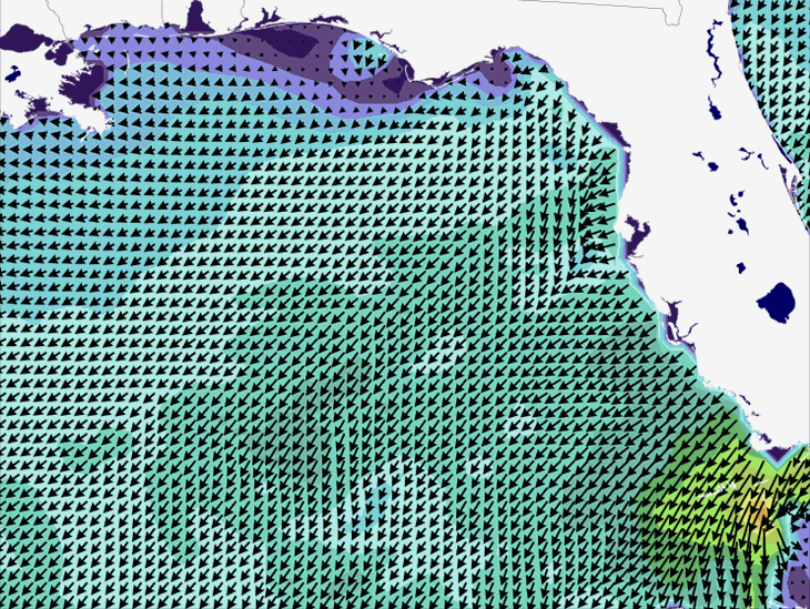Wave Model Wind Forecast