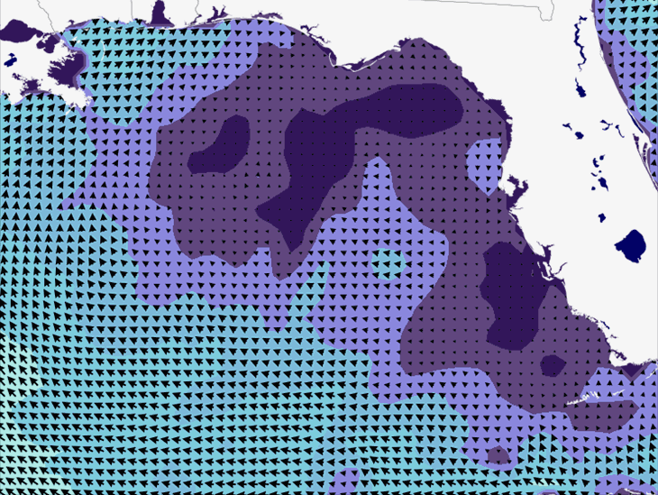 Wave Model Wind Forecast