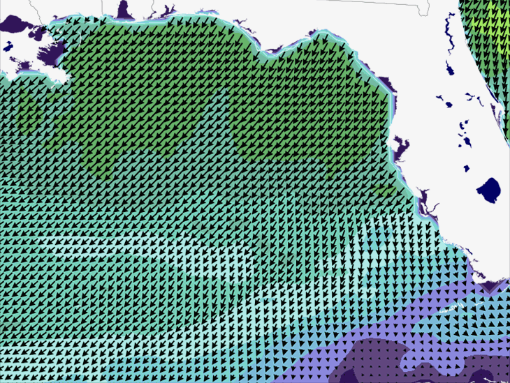 Wave Model Wind Forecast