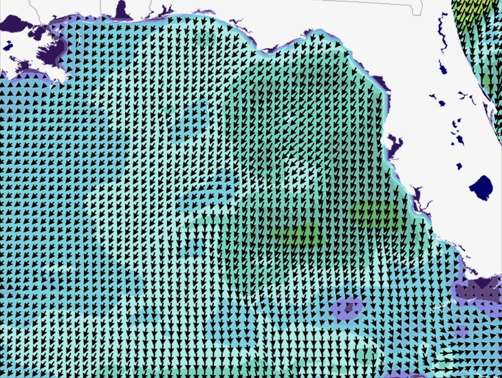 Wave Model Wind Forecast