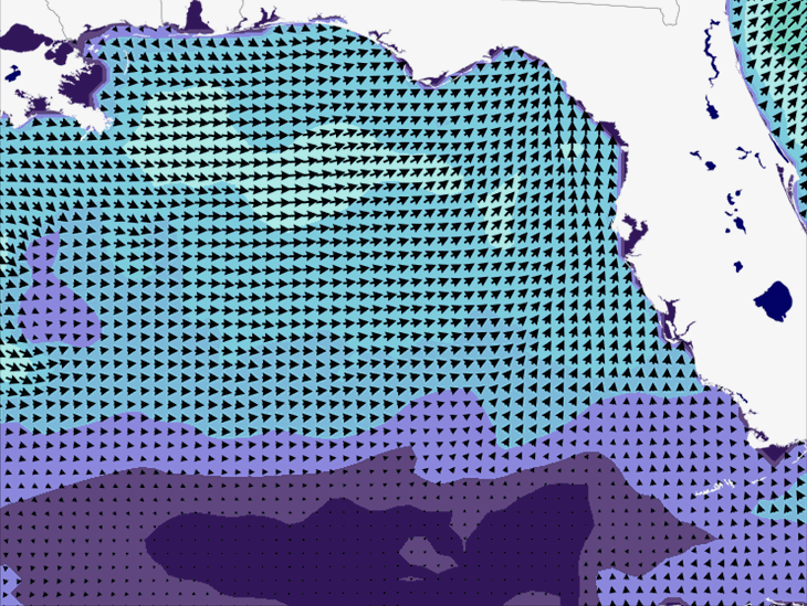 Wave Model Wind Forecast