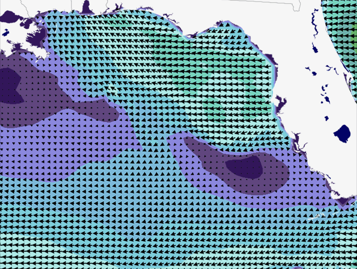 Wave Model Wind Forecast