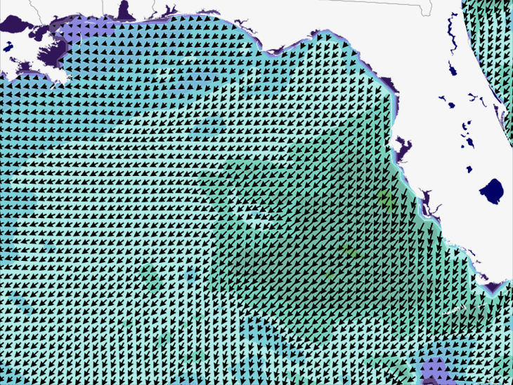 Wave Model Wind Forecast