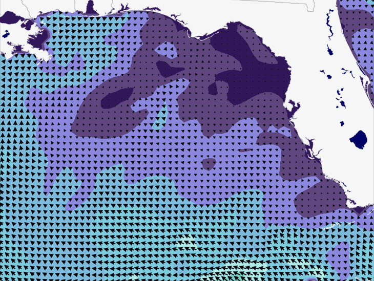 Wave Model Wind Forecast