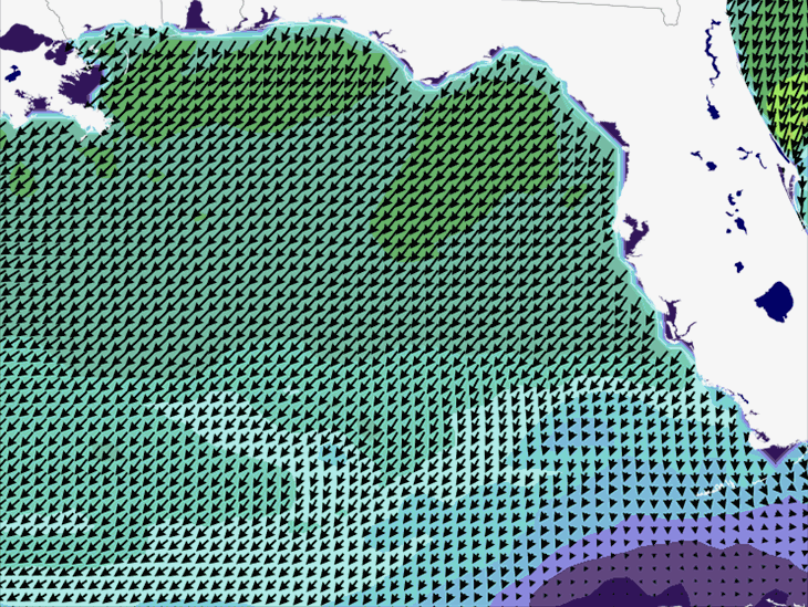 Wave Model Wind Forecast