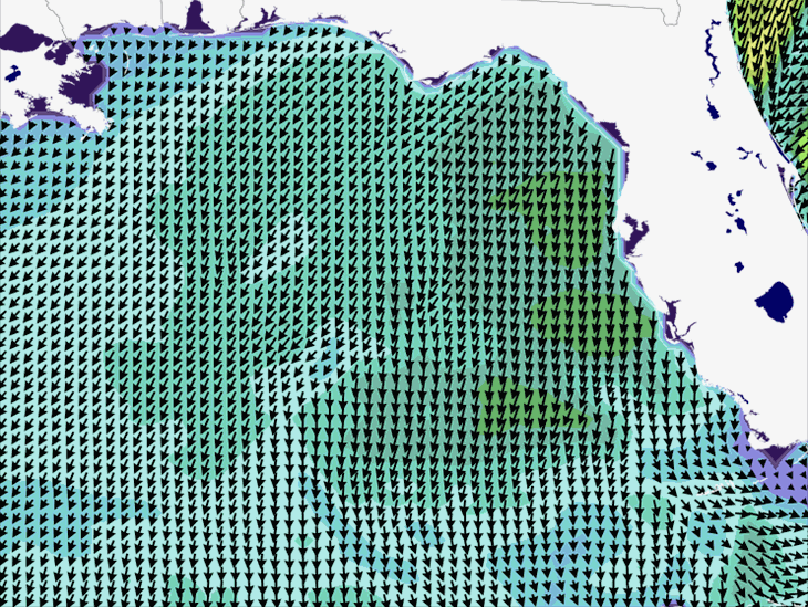 Wave Model Wind Forecast