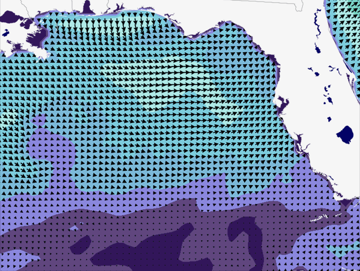 Wave Model Wind Forecast