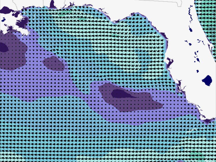 Wave Model Wind Forecast
