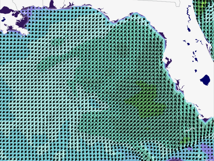 Wave Model Wind Forecast