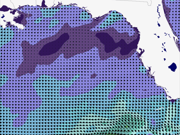 Wave Model Wind Forecast