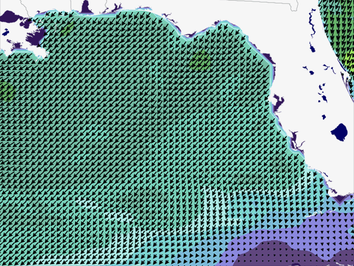 Wave Model Wind Forecast