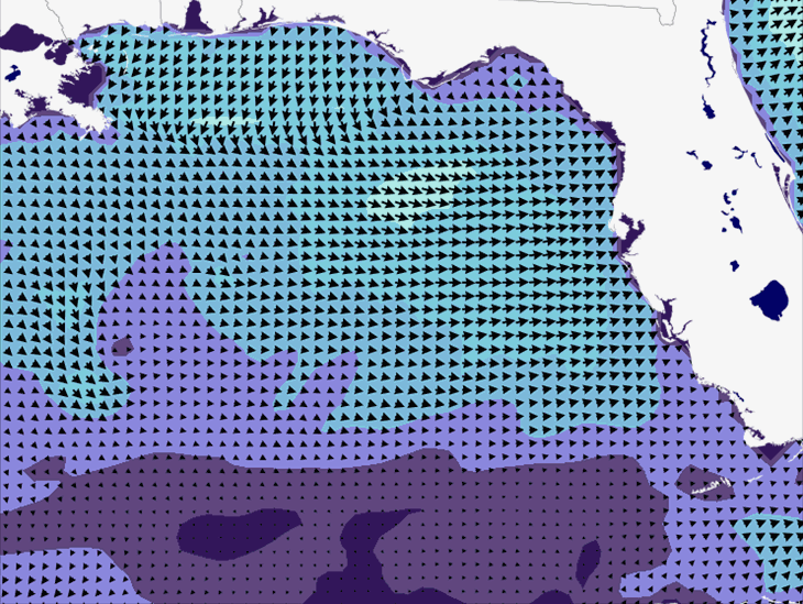 Wave Model Wind Forecast