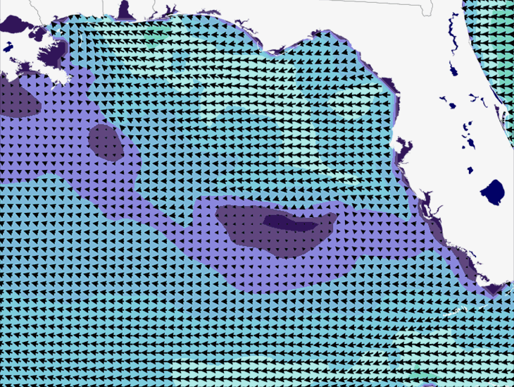 Wave Model Wind Forecast