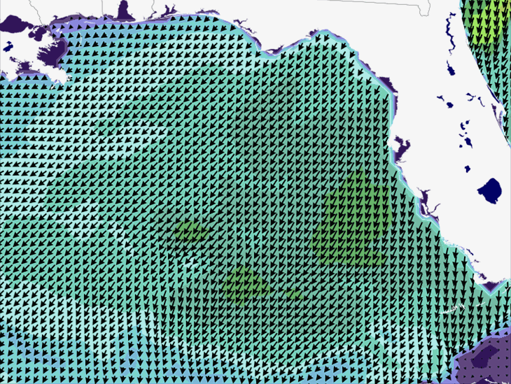 Wave Model Wind Forecast