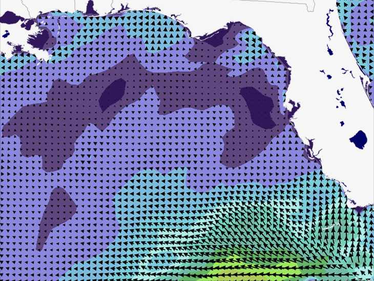 Wave Model Wind Forecast