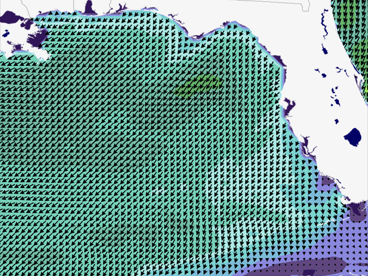 Wave Model Wind Forecast