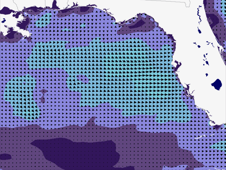 Wave Model Wind Forecast
