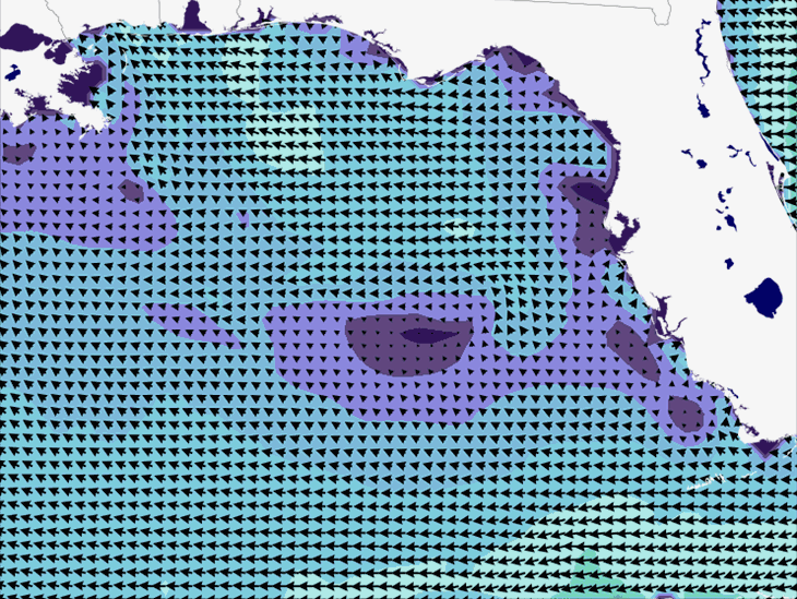 Wave Model Wind Forecast