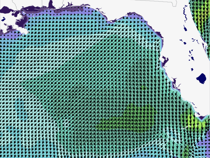 Wave Model Wind Forecast
