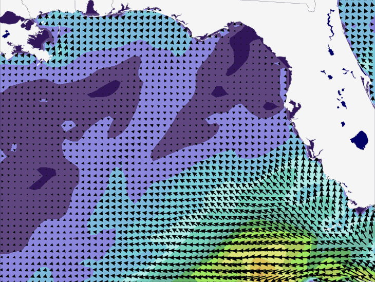 Wave Model Wind Forecast