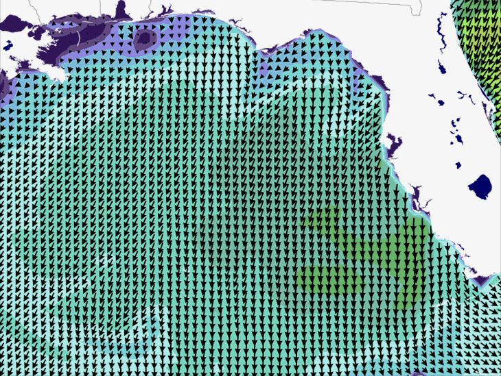 Wave Model Wind Forecast