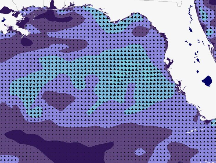 Wave Model Wind Forecast