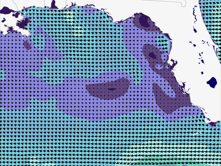Wave Model Wind Forecast