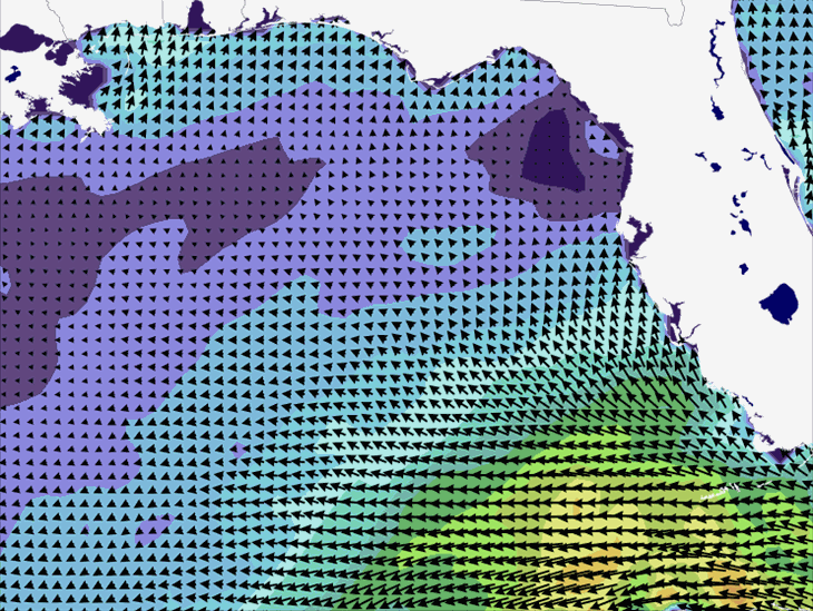 Wave Model Wind Forecast