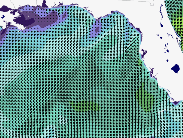 Wave Model Wind Forecast
