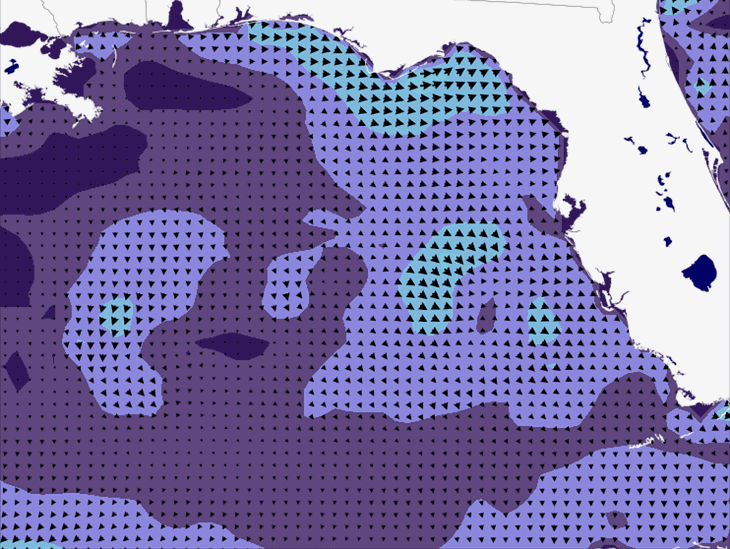 Wave Model Wind Forecast