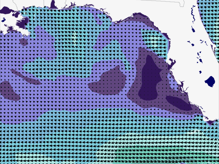 Wave Model Wind Forecast