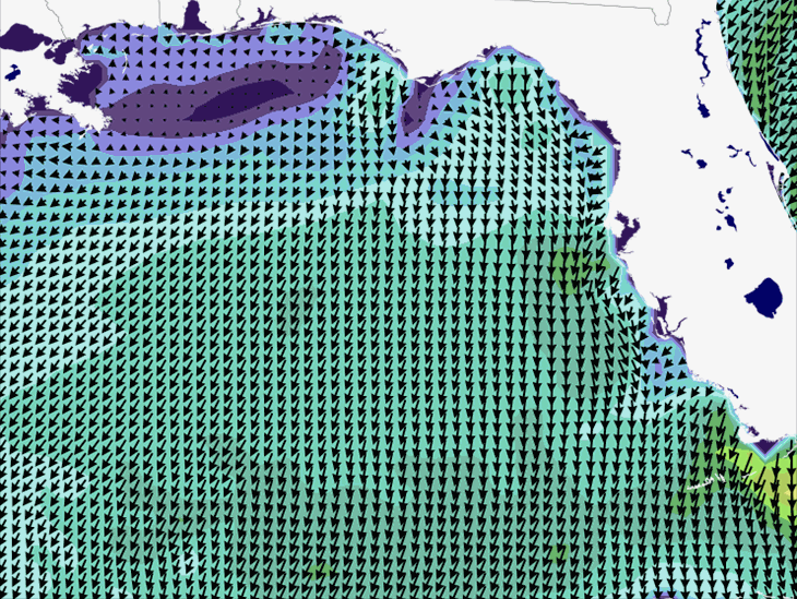 Wave Model Wind Forecast